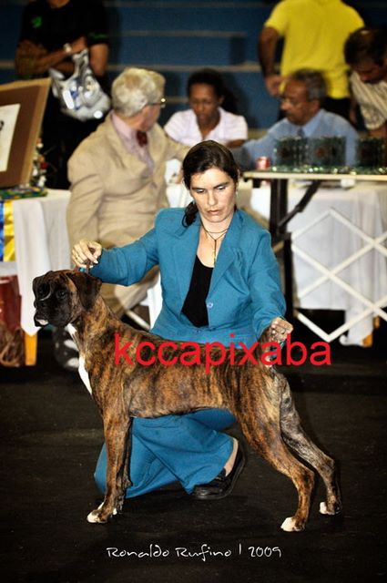 Clique sobre a foto para fechar